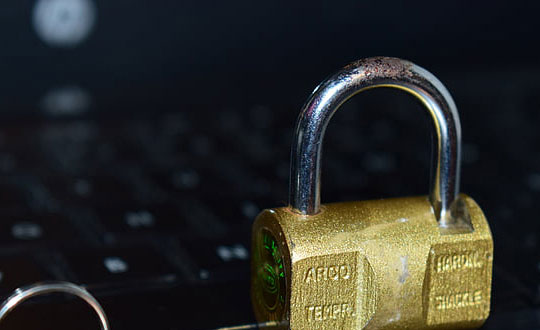 崔貞允WX68Q0D相關圖片