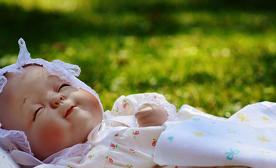 陳燕H624NO4相關圖片