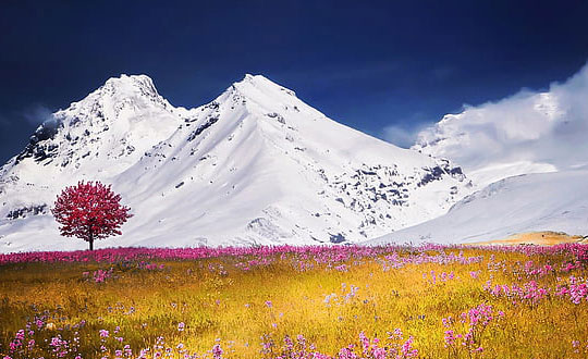 程海星H9JOQ23相關圖片