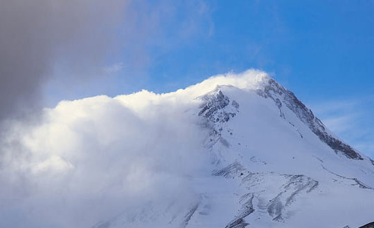 蔡加贊RIFT1Y1相關圖片