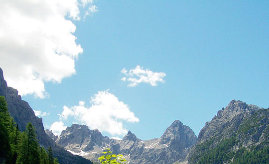 獨特稀少女孩名字大全2020 