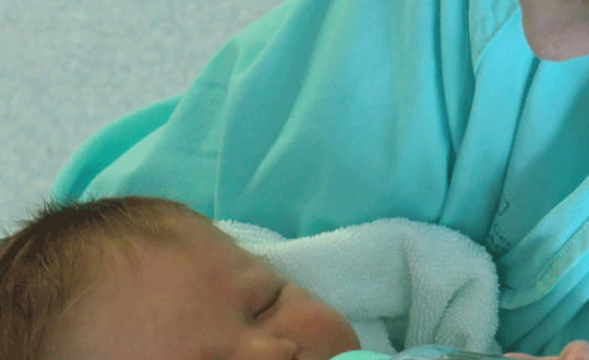 2020年五行屬什么？