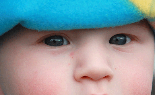 近現代屬鼠的名人，近現代屬鼠的名人有哪些