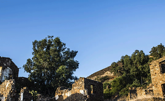 好看的網游名字