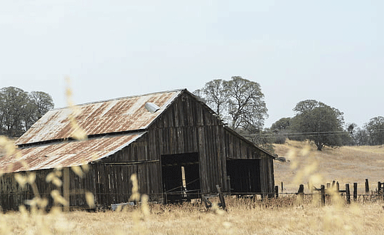 搞笑的網名笑死人