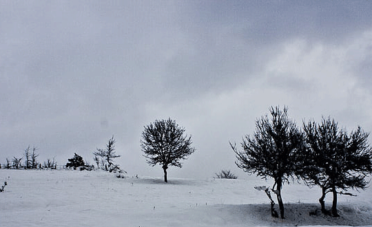 比較好聽的網名