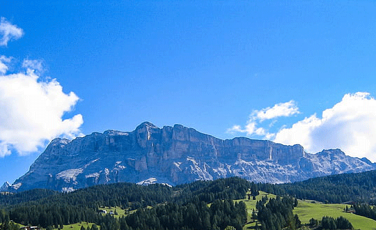 搞笑網名2020最新版