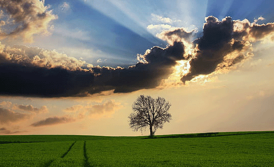 論語里適合男生的名字，王思聰的名字也出自其中