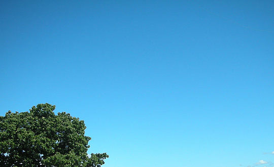 獨特有涵養的女孩寶寶名字：取名方法和技巧