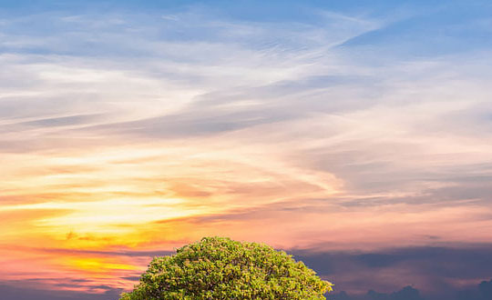 女孩取名帥氣有涵養的名字大全：取名技巧參考