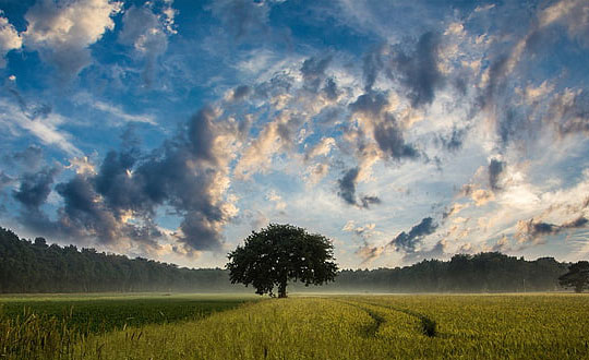 女孩寶寶起名唐詩宋詞名字：內涵經典字