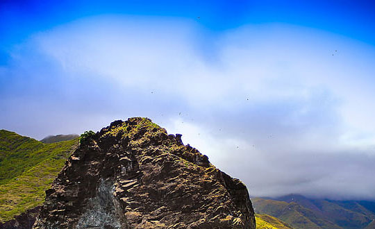 女孩子取名內涵有詩意的名字：吉祥有寓意