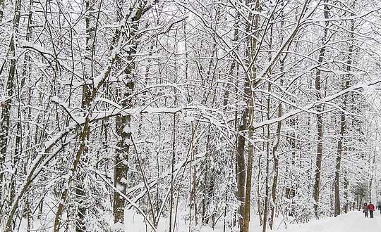 馬姓女孩起名獨特 馬姓女孩起名100分：儒雅經典