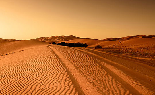 女孩名字內涵高雅,有文采典故的女孩名字