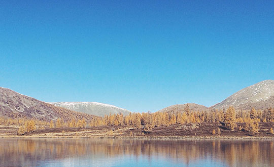 帶詩意女孩名字,女孩漂亮有涵養的名字