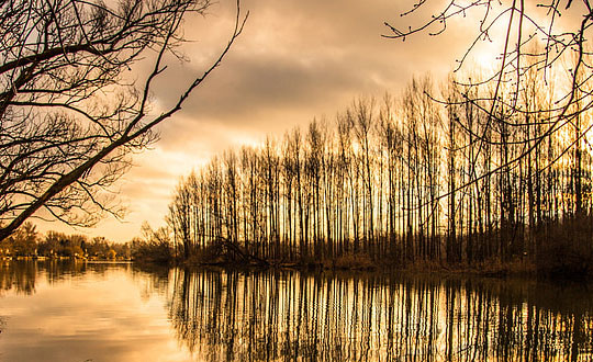   女孩詩經取名,詩經中唯美有文辭的名字