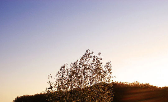 女孩名字簡單大方,女孩子取名大全：內涵洋氣帶寓意的