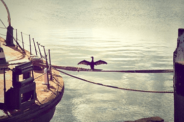 有內涵的霸氣的公會名