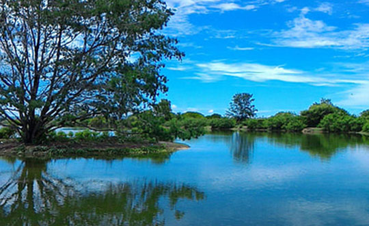 取名老師免費取名