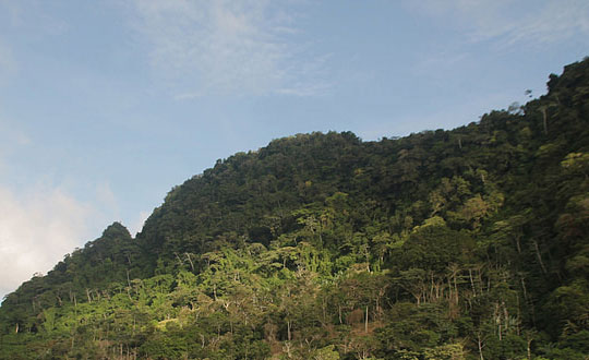 唐詩宋詞詩經起名好名字大全