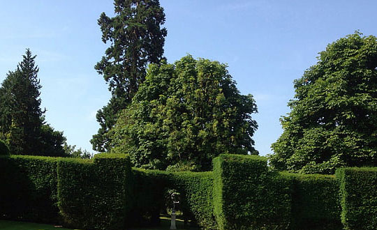 新生兒取名大全,文化有內涵的新生兒名字