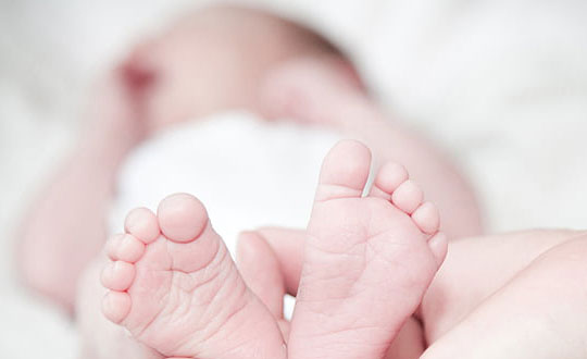 蛇:卡奧。大蟒蛇卡奧出自迪士尼影片《森林王子》,心思縝密而且魅力十足。他討厭失敗,盡管他對叢林里其他生物施用的滑稽催眠術從未成功過。