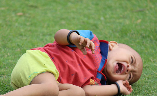 鼠:小米。在迪士尼·皮克斯影片《美食總動員》里,小米是一只夢想成為大廚的老鼠!他憑著智慧、決心和靈敏的嗅覺,終于以驚人的廚藝撼動了整個巴黎美食世界。