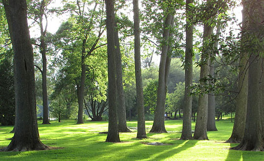  唯美有涵養的男孩名字精選：文雅字推薦