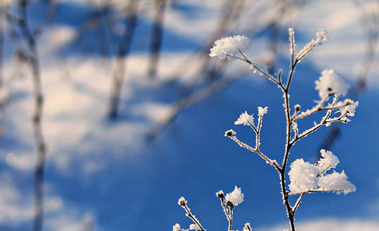 龔姓男孩名字好聽的字 姓龔好聽寓意好的名字：吉祥有涵義