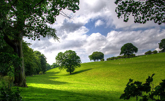 男孩大氣有涵養的名字 精選的男孩女孩姓名大全：儒雅經典
