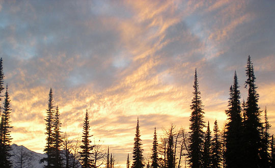 姓楊男孩子的好聽酷名字 楊姓男孩取名有內涵：思路參考