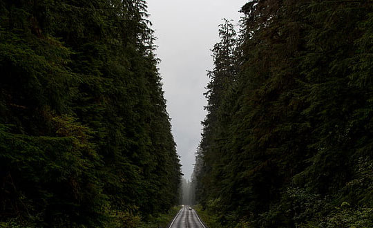 男孩取名字優雅經典的名字大全：好聽唯美