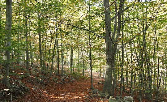  唐詩中最唯美的名字,有文采典故的男孩名字：洋氣有內涵