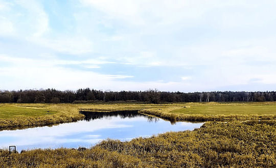 男孩叫什么名字好聽,有文采典故的男孩名字：洋氣帶寓意