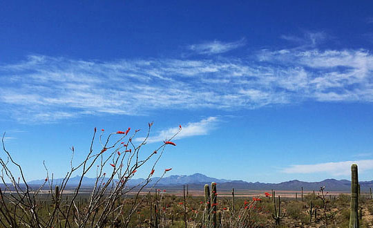  生辰八字取名字,男孩名字大全：簡單有內涵的詩詞名字
