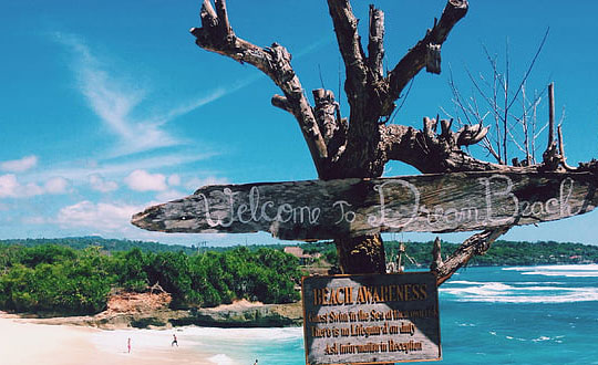 新生兒女孩起名古典韻味的名字精選：獨特經典