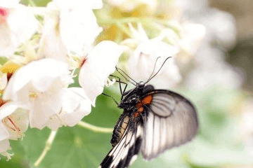 邵姓好聽的名字大全，邵家人趕緊收藏！