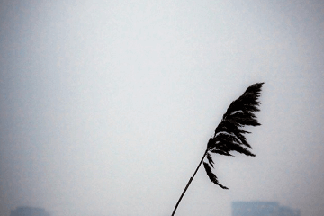 電視劇去有風的地方經典語錄大全，優秀臺詞