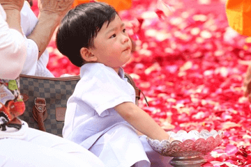 張姓屬兔男孩名字大全之網友問答