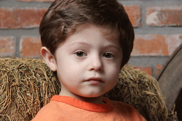 甄子丹怒斥外媒不報道真實中國、甄子丹名字打分，解析