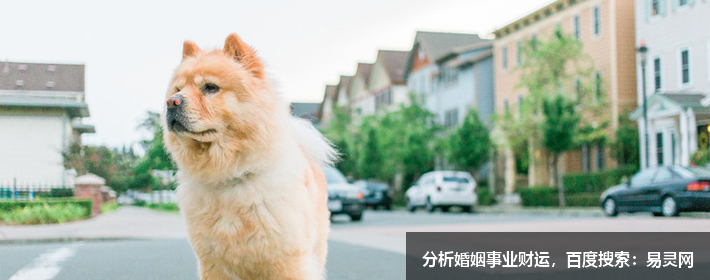 楊姓簡單寓意好的名字有哪些？