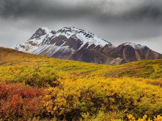起名用字禁忌—豪字，起名時使用欣字的注意事項