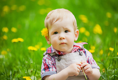 李姓帶木或火字的女孩名，寓意美好，筆畫吉祥