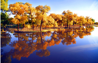 20款的古風昵稱，瞬間讓你的微信穿越回古代！