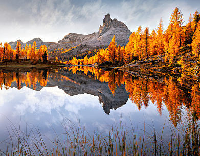 沙雕五人開黑游戲網名昵稱！
