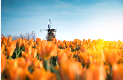 搞笑情侶昵稱一對一，微信網名2024新款（精選30款）