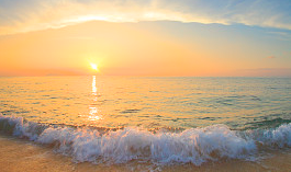 小女生溫柔優雅網名