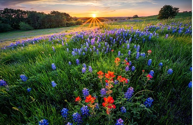 讓人覺得很可愛、很有安全的情侶網名