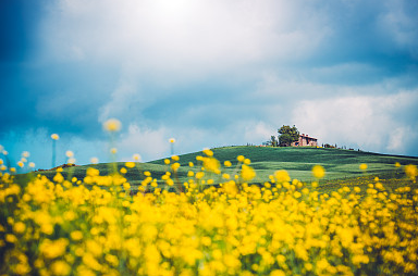 爸媽看了都夸你成熟穩重的網名
