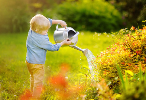 生僻卻美到爆的名字男，24年的龍寶寶高分名字分享